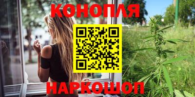 МДПВ Бийск