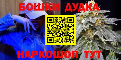 МДПВ Бийск