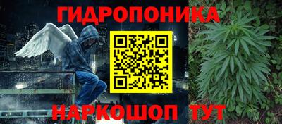 МДПВ Бийск