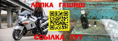 МДПВ Бийск