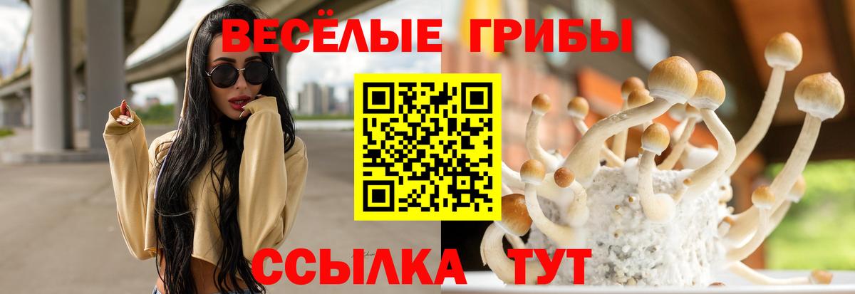 Галлюциногенные грибы мухоморы Городец